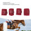 Thickened Horse Leg Wraps - Prevent Slip Bandages 4