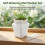 (12pcs) 12-Pack Self-Watering Succulent Starter Kit 4