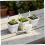 (12pcs) 12-Pack Self-Watering Succulent Starter Kit 7