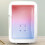 Mini Fridge 12V Portable Car 3.8L Inner 14x13x21cm 1