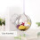 Clear Plastic Christmas Fillable Baubles 3.9in High Transparency 3