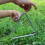 Hand Percussion Triangle Metal 9 Inch Rhythm Kids 11