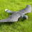 Lifesize Hawk Decoy for Garden & Farm Pest Control 7