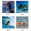 3mm Neoprene Anti Slip Diving Socks 6
