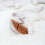 Brown Fish-Shaped Snuffle Toy Foraging Training 7