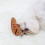 Brown Fish-Shaped Snuffle Toy Foraging Training 10