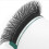 (8mm) Y-Shape Eyelash Extensions 0.07\" 2-Tip 7