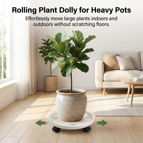 Rolling Plant Tray for Drainage & Mobility (50 chars) 1