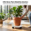 Rolling Plant Tray for Drainage & Mobility (50 chars) 3