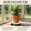 Rolling Plant Tray for Drainage & Mobility (50 chars) 10