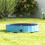PawHut Piscina para Perro Azul 80 x 80 x 20 cm 3