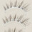 (04) 5 Pairs Natural Wispy False Eyelashes for DIY Makeup 6