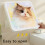 Large Capacity Multi-Color Foldable Wall Bathroom Cabinet Organizer, Plastic 5