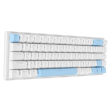 68 Keys RGB White-Blue Keyboard 312x104x35mm