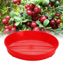 Blue Plastic Drain Basket for Fruit & Vegetable Washing Kitchen Sieve 20cm