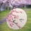 Chinese Oiled Paper Umbrella 152g, Wood Handle 6