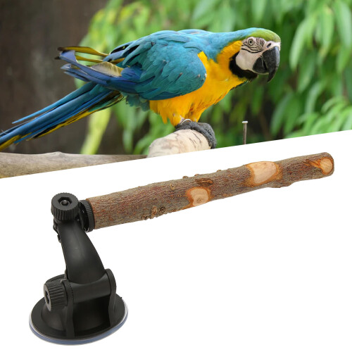 Adjustable Bird Perch Stand 15cm: Secure Window Suction for Cockatoos