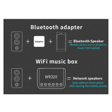 Adaptateur de Musique Sans Fil Airplay DLNA RéCepteur Audio Sans Fil WIFI Multi-PièCes pour Haut-Parleurs HiFi Traditionnels WR320