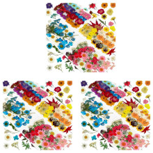 432PCS Natural Dried Pressed Flowers for Resin,Dry Flower Bulk Natural Herbs Kit for Candle,Epoxy Resin,DIY Art Crafts