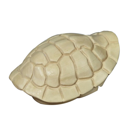 Multikleur Schildpad Houtsnijwerk Ornament