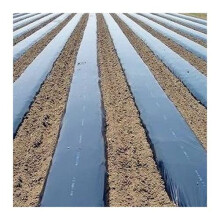 Black Plastic Mulch Film 10m Roll Heavy Duty PE Garden Ground Cover Sheeting for Weed Control and Moisture Retention