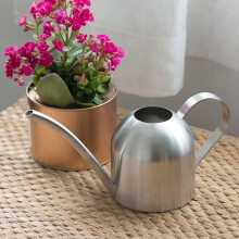 Stainless Steel Watering Can 500ml Long Spout Precision Ergonomic Grip for Indoor Outdoor Plants