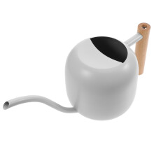 Stainless Steel Indoor Watering Can with Wooden Handle, Precise Pouring Spout for House Plants