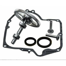 Suitable for Briggs & Stratton 793880 793583 792681 791942 795102 cam replacement kit with oil seal 795387 and gasket