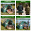 Family Multicoloured Camping Tent 8