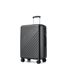 (Grey, 24 Inch) Matte Electronic Texture Hard Shell Luggage ABS+PC Cabin Or Check-In Travel Suitcase