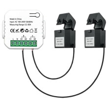 Tuya Wifi Intelligent Meter Solar PV System Power Production Consumption Bidirectional Monitoring Meter with 2 CT