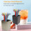 Stainless Steel Color Straw Holder, Organizer 5