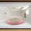 4Pcs Microwave Food Plate Cover Splatter Guard For Kitchen Use 3