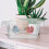 2Pièces Boîte D'élevage Poisson Transparent ABS Léger Avec Ventouses 5