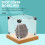 Clear Wooden Acrylic Display Box for Figurines Model Protection 3