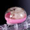 Bain Hamster Tunnel Plastique Rose Accessoire Cage Compact 3
