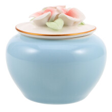 Elegant Ceramic Small Pet Urn Memorial Box for Ashes and Keepsakes