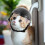 Casque Pour Chiot Noir En Polyester Pièce Protection Fiable 7