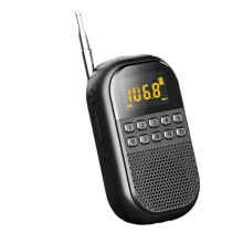 Pocket FM AM Radio Large LCD Display DSP Radios Receiver Wireless  Speaker TF Card Music Player for Elder A