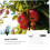 1pc Telescoping Fruit Picker Pole with Basket for Apples, Pears, Peaches 3