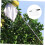 1pc Telescoping Fruit Picker Pole with Basket for Apples, Pears, Peaches 4