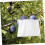 1pc Telescoping Fruit Picker Pole with Basket for Apples, Pears, Peaches 5