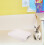 Weißes Rabbit Litter Box Mit Sicherem Verriegelungsdesign 11