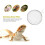 sieve filter sand shovel mesh for reptile use 2