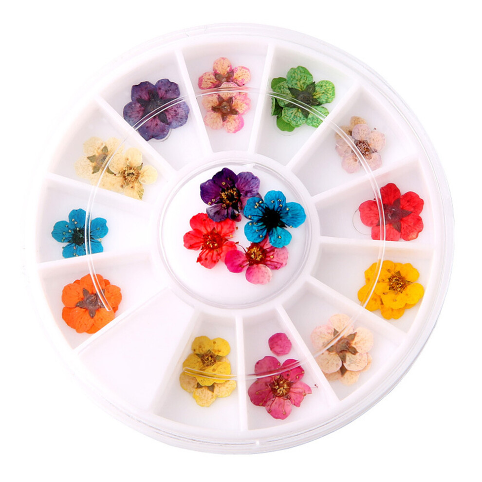 Iplusmile 2 Boxes Manicure Dried Flowers Nail Art Tips 5 Petals Plum Blossom