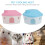 2Pcs Hamster House Plastic Hideout Toy Multi-Color Small Pet Hut 8