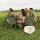 Premium Isoliertasche Aus Stoff Für Take-Away Picknick 7