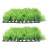 2pcs Plastic Aquatic Grass Aquarium Decor Green 4