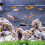 2pcs Plastic Aquatic Grass Aquarium Decor Green 7