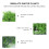 2pcs Plastic Aquatic Grass Aquarium Decor Green 9